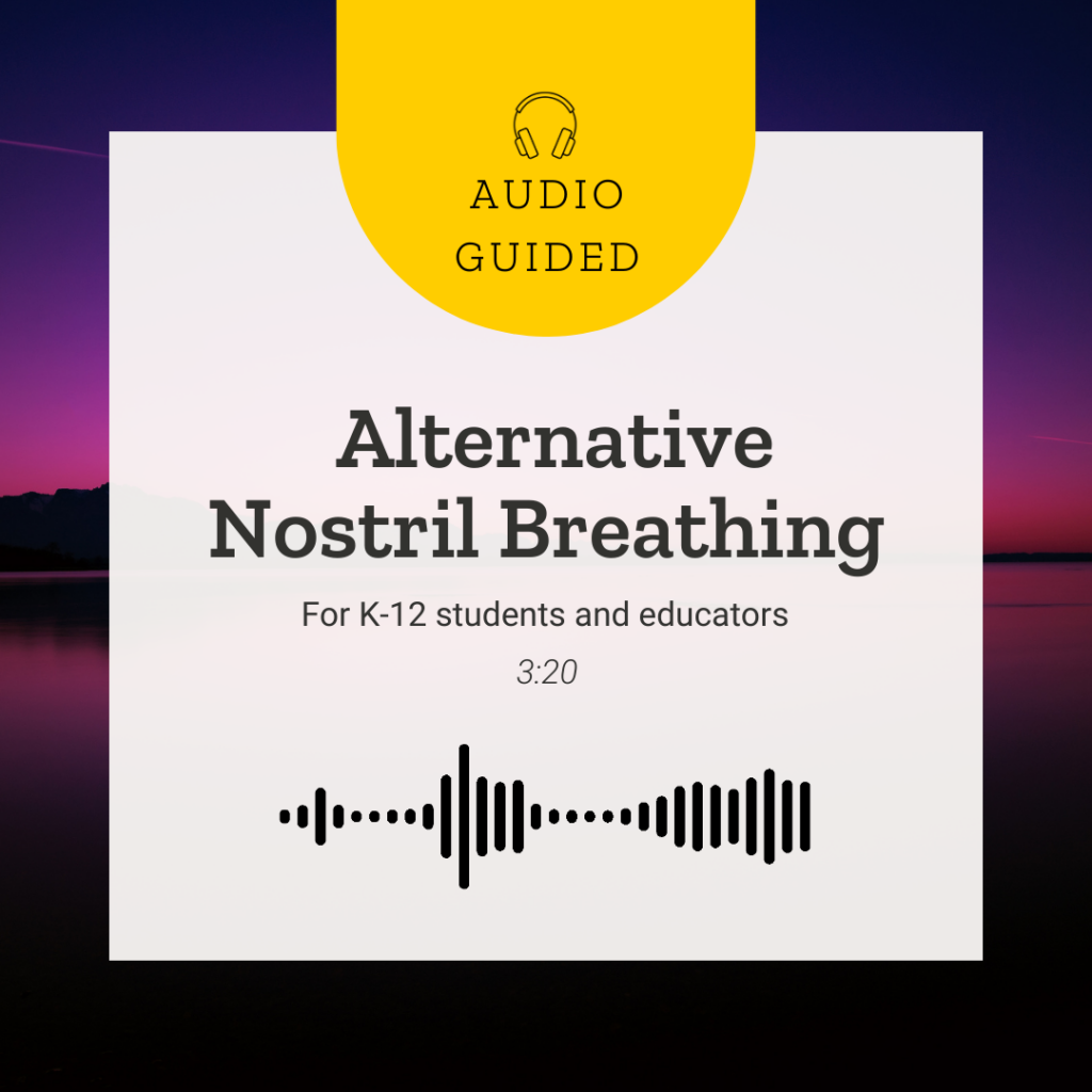 Cover art for Alternative Nostril Breathing audio guided exercise