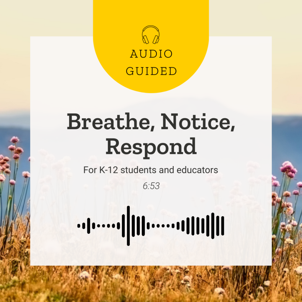 Cover image for Breathe, Notice, Respond audio guided exercise