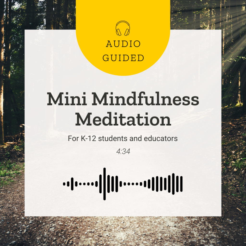 Cover art for Mini Mindfulness Meditation audio guided exercise