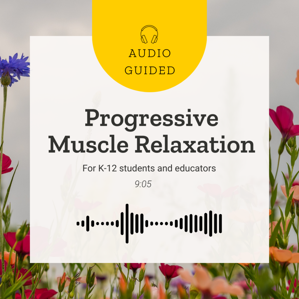 Cover image for Progressive Muscle Relaxation audio guided exercise