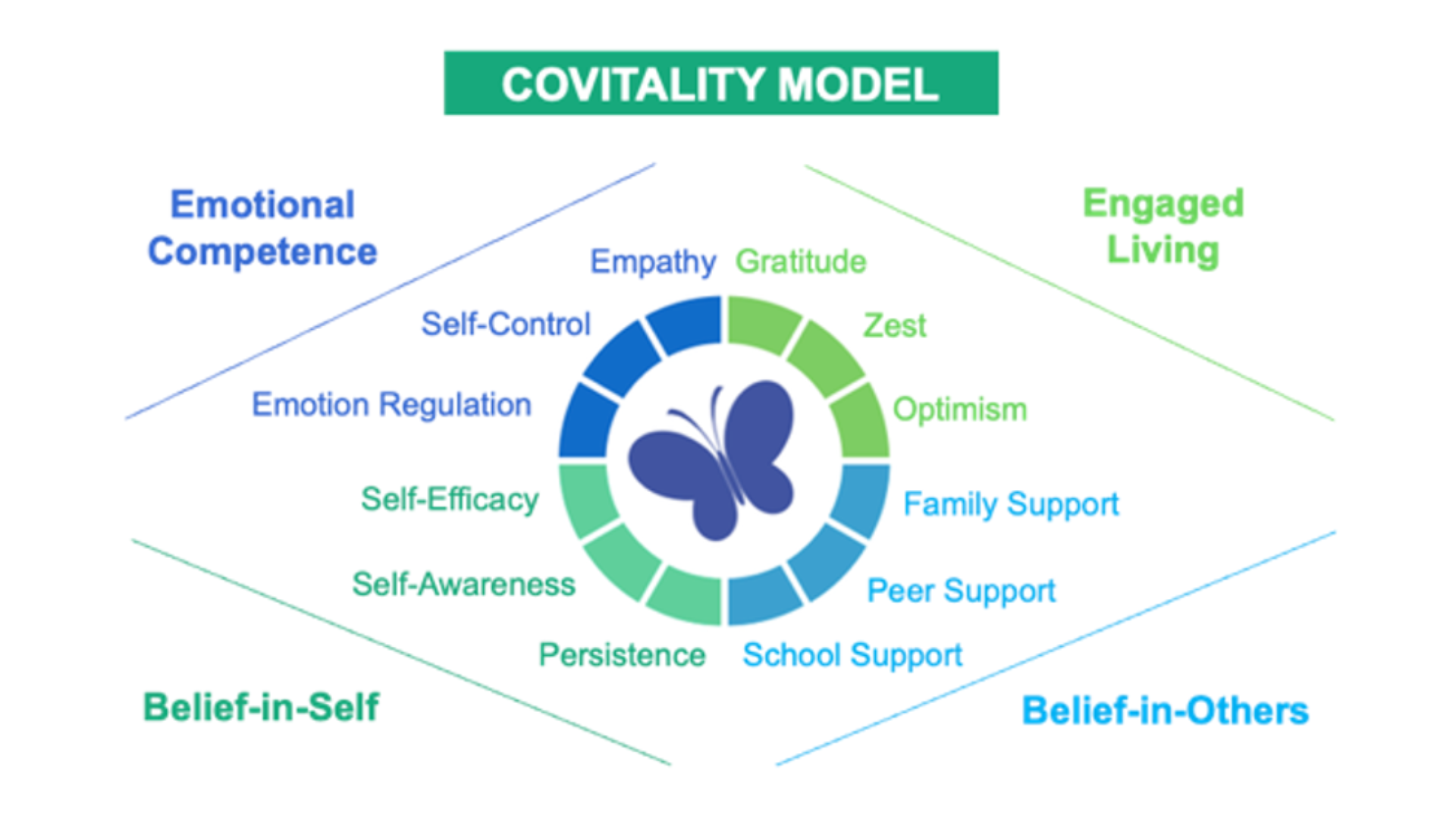 Graphic - covitality model