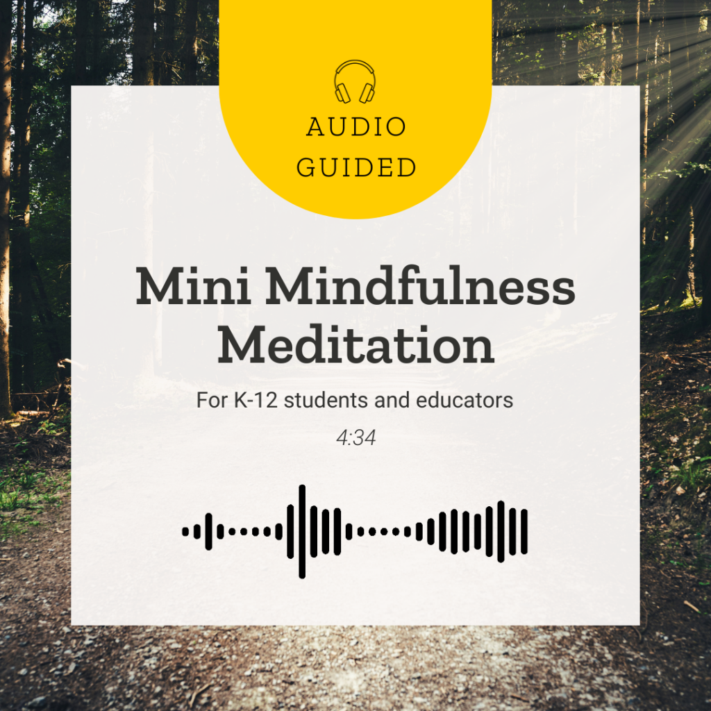 Mini Mindfulness Meditation