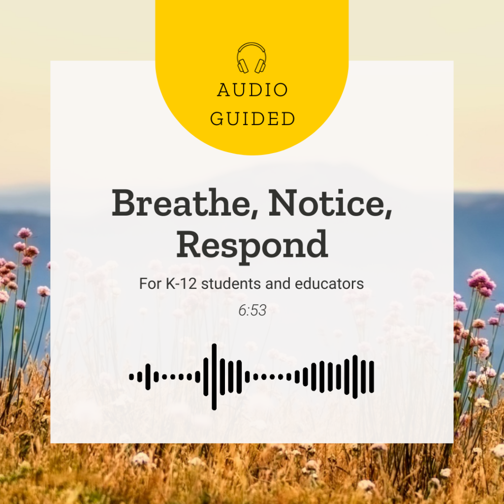Breathe, Notice, Respond
